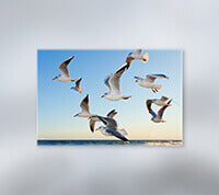 Business card printing